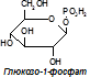 Регуляция общих путей катаболизма. Анаболические функции цикла Кребса - student2.ru