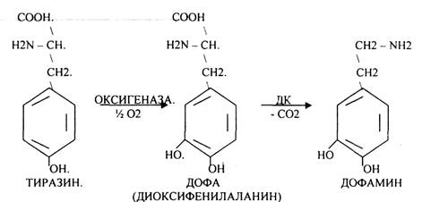 Регуляторы местного действия ( ГИСТАМИН) - student2.ru