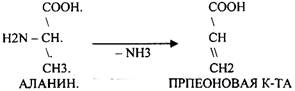 Регуляторы местного действия ( ГИСТАМИН) - student2.ru