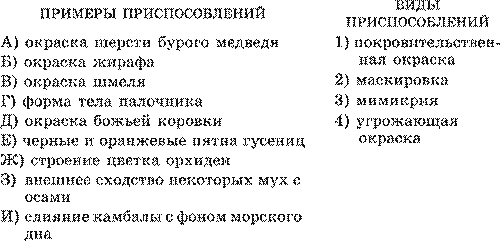 Результаты эволюции: приспособленность организмов к среде обитания, многообразие видов. Доказательства эволюции живой природы. - student2.ru