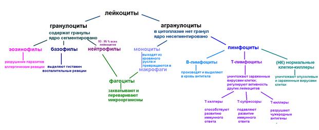 Резус-конфликт матери и ребенка - student2.ru