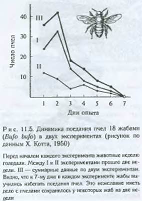 різні форми природного добору - student2.ru