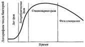 Рост и размножение бактерий. Фазы размножения - student2.ru