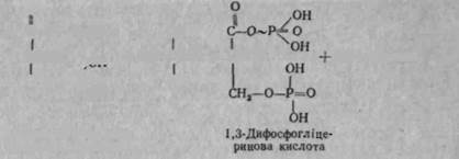 розкладання вуглеводів в організмі - student2.ru