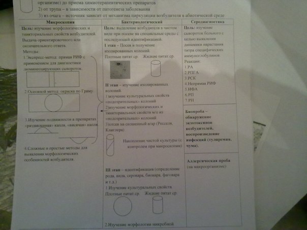 Серологические реакции, используемые для диагнос­тики вирусных инфекций. - student2.ru