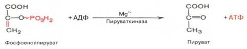 Синтез глюкозы из глицерина - student2.ru