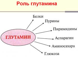 Синтез мочевины как механизм предотвращения образования аммиака. Химизм, ферменты, энергетика. Биологический смысл цикла мочевинообразования, связь с ЦТК. - student2.ru