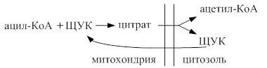 Синтез триацилглицеринов (липогенез) - student2.ru