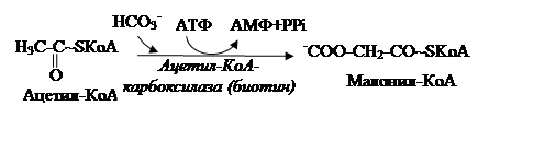 Синтез высших жирных кислот - student2.ru