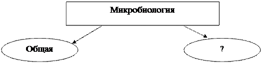 Схема 1 Экология микроорганизмов - student2.ru