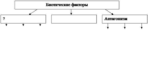 Схема 1 Экология микроорганизмов - student2.ru