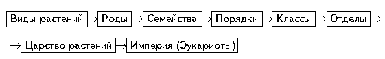 Схема 2. Цикл развития зеленого мха - student2.ru