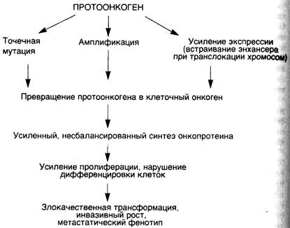 Схема 33. Механизмы активации протоонкогенов - student2.ru