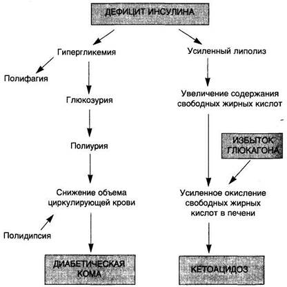 Схема 46. Метаболические нарушения при сахарном диабете - student2.ru