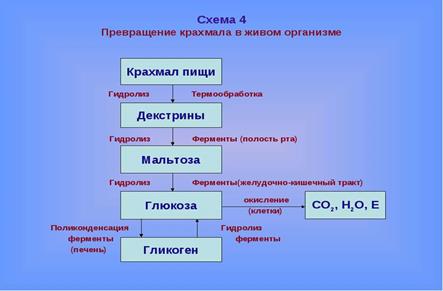 Схема использования глюкозы в организме - student2.ru