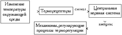 Совместное действие экологических факторов на организм - student2.ru