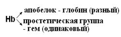 Современная рациональная классификация аминокислот - student2.ru