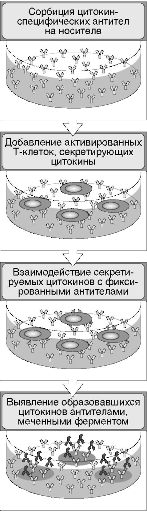Специфичность иммуноанализов - student2.ru