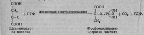 співвідношення між аеробним і анаеробним процесами перетворення вуглеводів в організмі - student2.ru