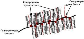 Способ присоединения углевода к белку - student2.ru