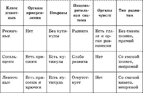 Сравнительная характеристика представителей типа Плоские черви - student2.ru