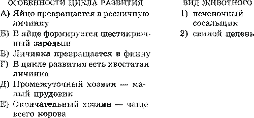 Сравнительная характеристика представителей типа Плоские черви - student2.ru