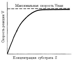 Стационарная кинетика ферментативных реакций - student2.ru