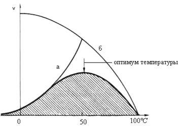 Стационарная кинетика ферментативных реакций - student2.ru