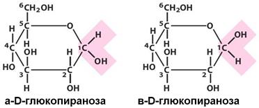 Стереоизомерия моносахаридов - student2.ru