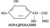 Стимулирует транспорт аминокислот в клетку - student2.ru