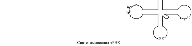 стратом является глутаминовая кислота и равновесие реакции сдвинуто в сторону - student2.ru