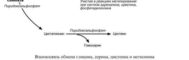 стратом является глутаминовая кислота и равновесие реакции сдвинуто в сторону - student2.ru