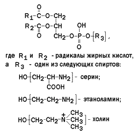 строение и функции биологических мембран. липиды биомембран. механизмы транспорта веществ через биомембраны - student2.ru