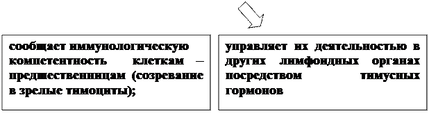 Строение и функции органов иммунной системы - student2.ru