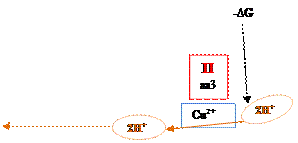 Строение митохондриальной ЦПЭ - student2.ru