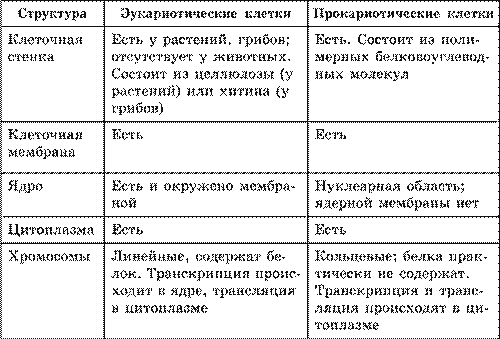 Строение про– и эукариотной клеток. Взаимосвязь строения и функций частей и органоидов клетки – основа ее целостности - student2.ru