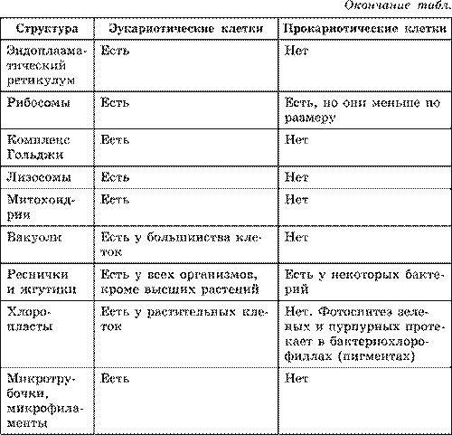 Строение про– и эукариотной клеток. Взаимосвязь строения и функций частей и органоидов клетки – основа ее целостности - student2.ru