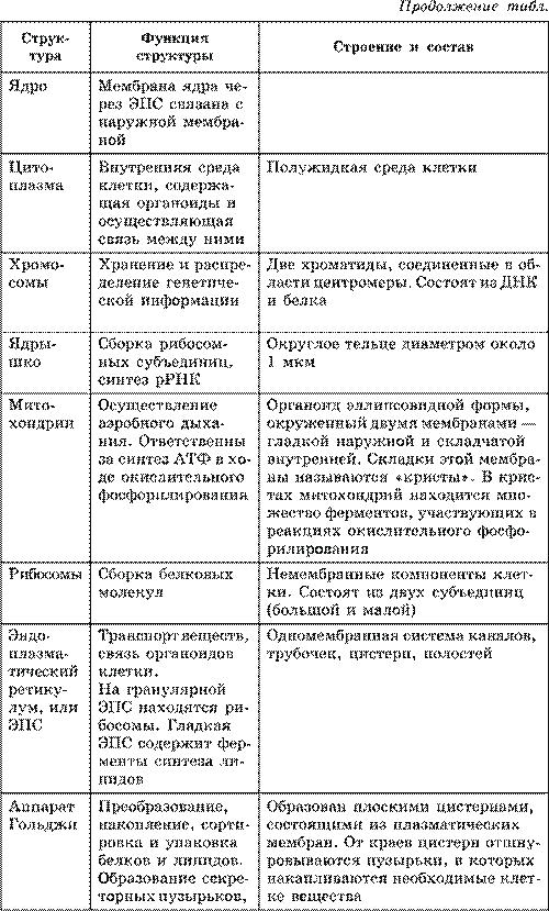 Строение про– и эукариотной клеток. Взаимосвязь строения и функций частей и органоидов клетки – основа ее целостности - student2.ru