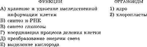 Строение про– и эукариотной клеток. Взаимосвязь строения и функций частей и органоидов клетки – основа ее целостности - student2.ru