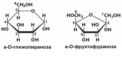 строение, свойства, биологическая роль - student2.ru