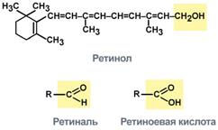 Строение витамина А и его активных групп - student2.ru