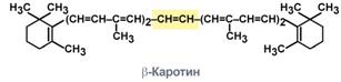 Строение витамина А и его активных групп - student2.ru