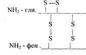 Структура белковой молекулы - student2.ru