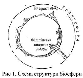 Структура біосфери. Жива речовина. Розподіл життя у біосфері - student2.ru