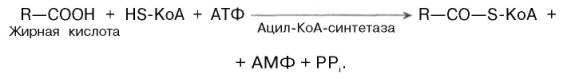 структура и функция основных природных высших жирных кислот и липидов - student2.ru