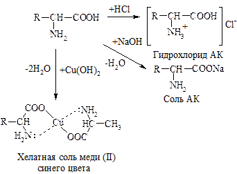 Структура молекулы ДНК - student2.ru