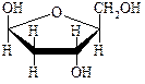 Структура молекулы ДНК - student2.ru