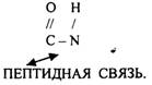 Структурной единицей белков являются альфа АК L-РЯДА - student2.ru