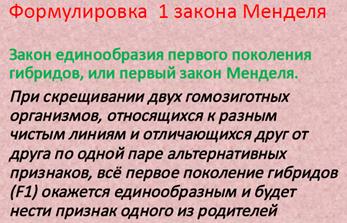 Структуры оснований, наиболее часто встречающихся в составе ДНК - student2.ru