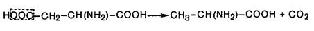судьба всосавшихся аминокислот - student2.ru